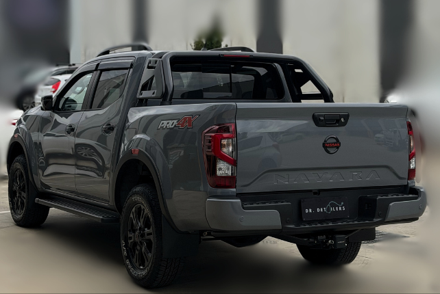 Professional detailing